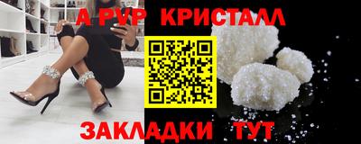 скорость Кингисепп
