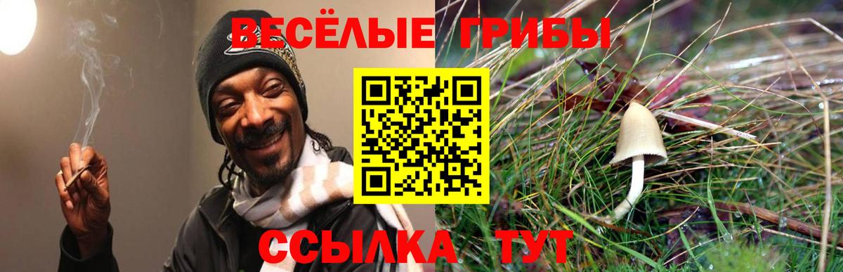 Галлюциногенные грибы MAGIC MUSHROOMS Кстово